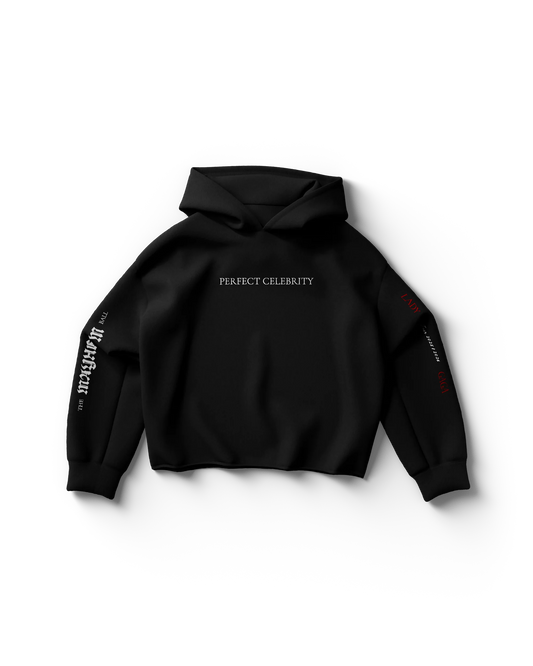Perfect Celebrity Black Hoodie | Lady Gaga Mayhem Ball Graphic Hoodie